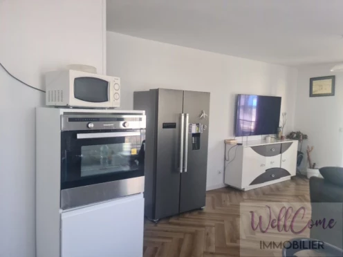 Appartement à  Ville-la-Grand (74100), 4 pièces